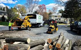 Best Commercial Tree Services  in Loves Park, IL