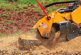 Best Emergency Tree Removal  in Loves Park, IL